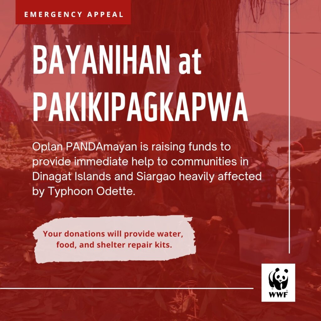 Survivors of Typhoon Odette/Kai Emergency Appeal