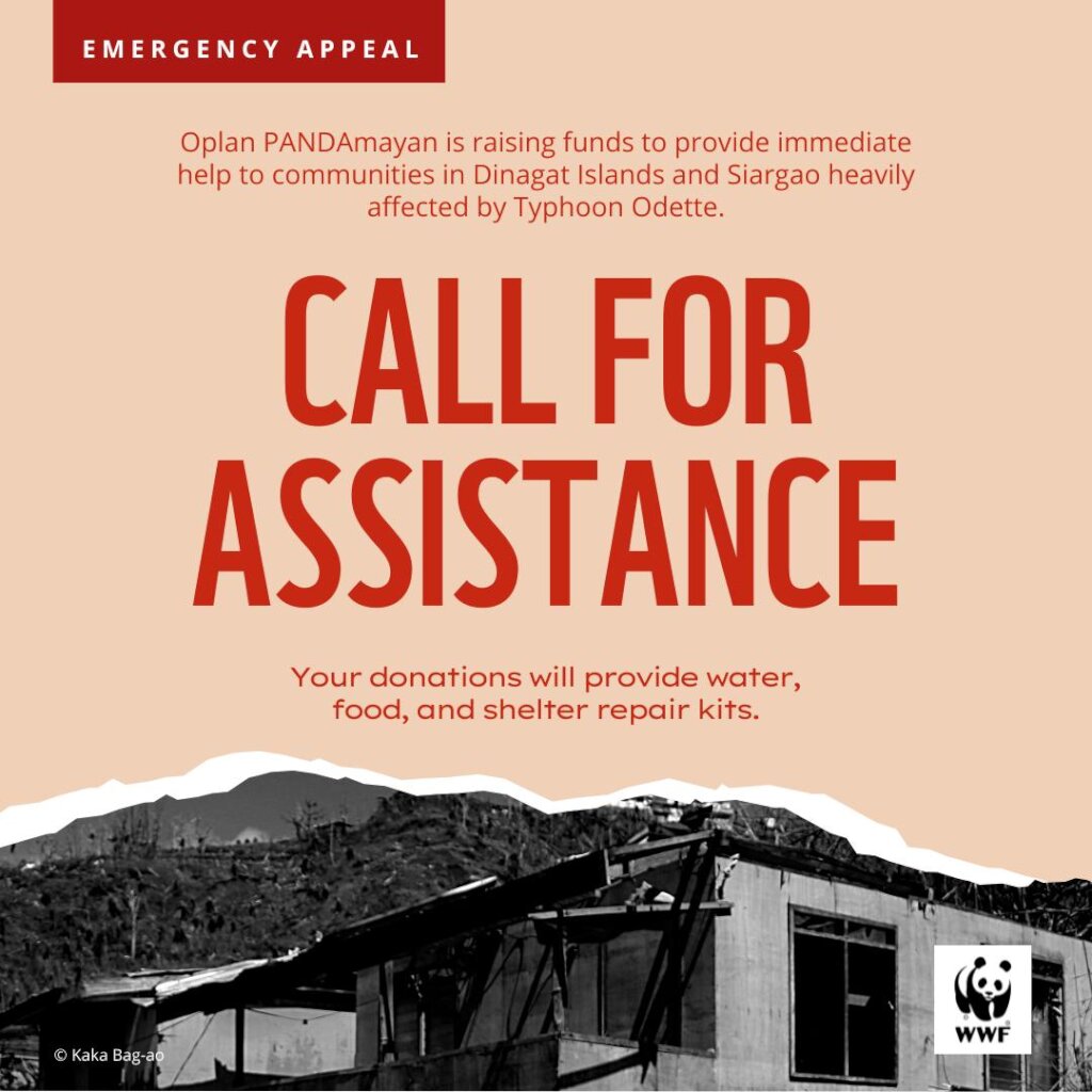 Survivors of Typhoon Odette/Kai Emergency Appeal