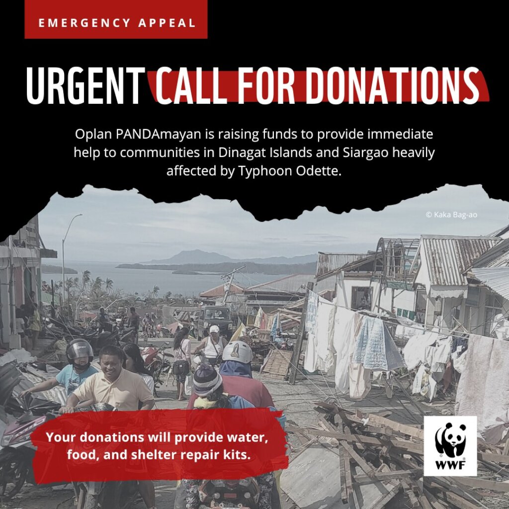Survivors of Typhoon Odette/Kai Emergency Appeal