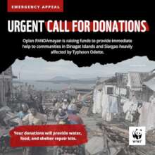 Survivors of Typhoon Odette/Kai Emergency Appeal