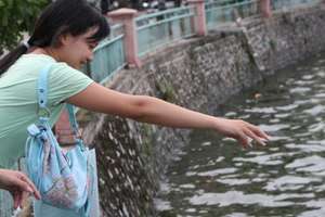 A Vietnamese Woman at Hagar
