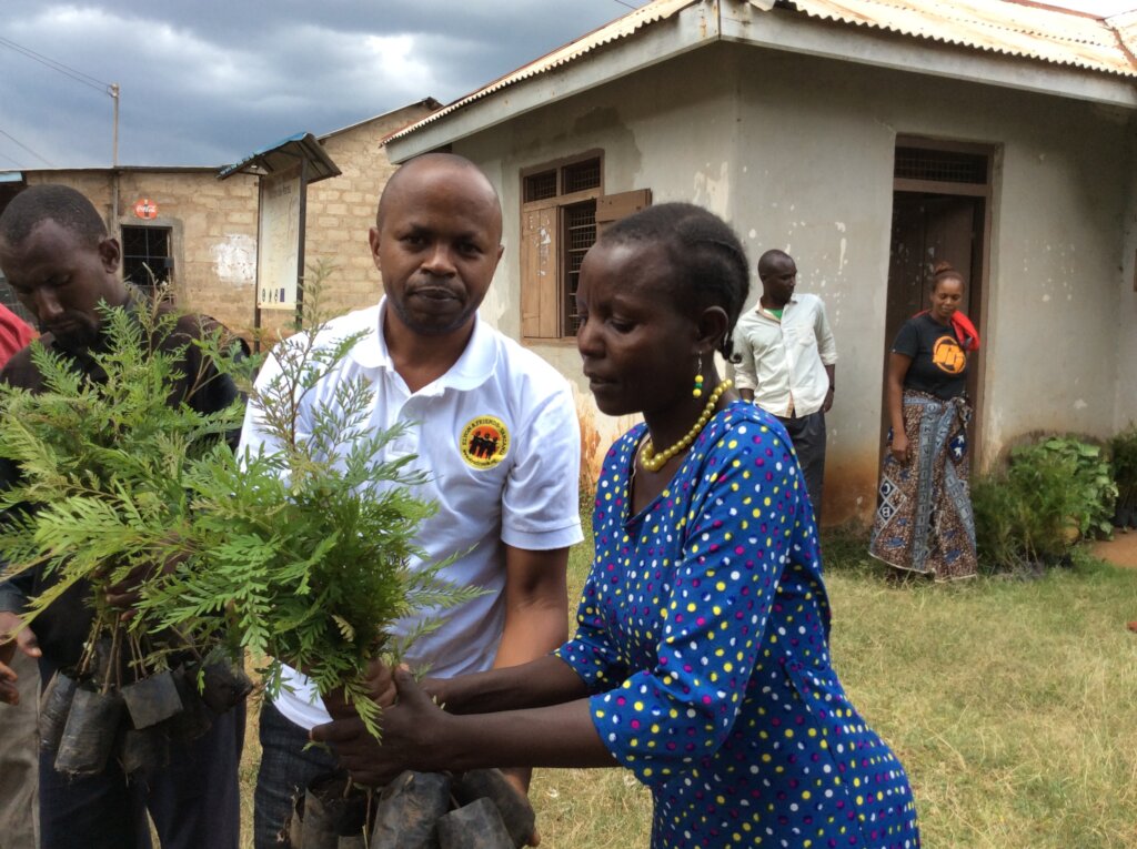 Tree Planting
