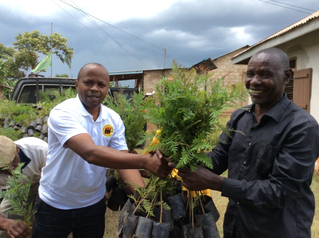 Tree Planting