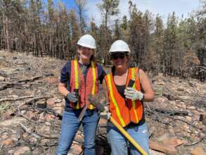 Heil Valley Ranch Tree Planting_1