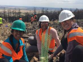 Heil Valley Ranch Tree Planting_2