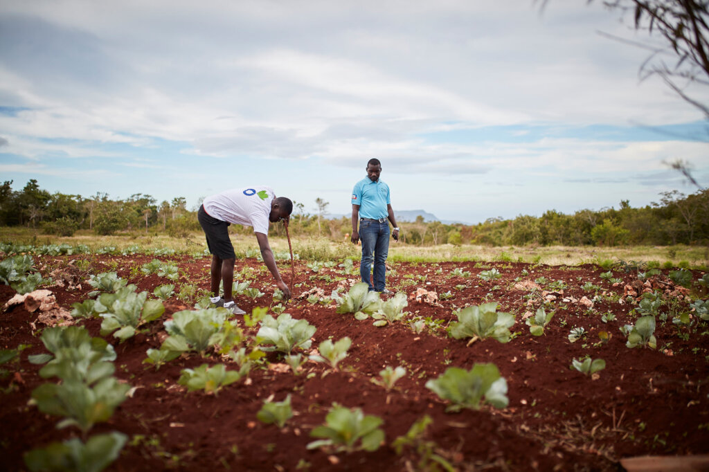 COVID-19, CLIMATE CHANGE & CONFLICT IN HAITI