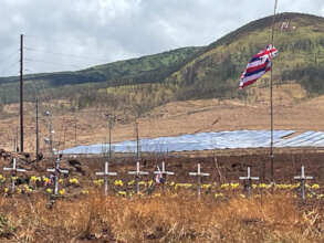 Memorials for those who died in Maui wildfires