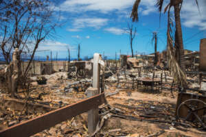 Destroyed homes in Lahaina