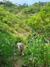 A local farmer on his way to his rearing house