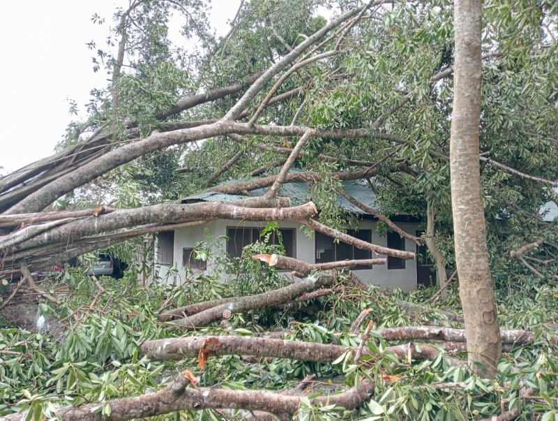 Typhoon Odette (Rai) Response in the Philippines