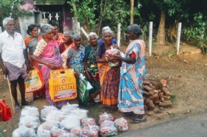 Distribution of monthly food groceries