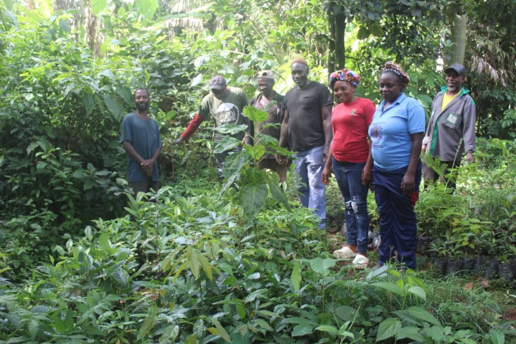 Plant 10,000 Trees to Combat Climate Change