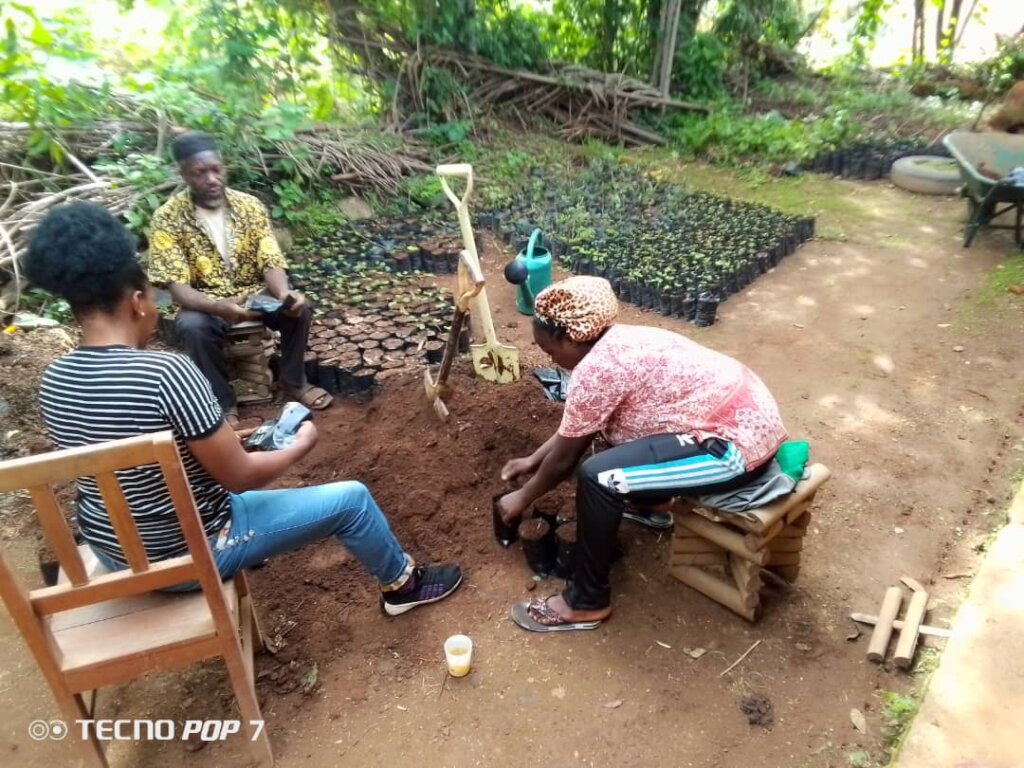 Plant 10,000 Trees to Combat Climate Change