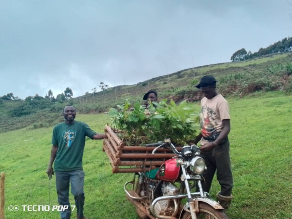 Plant 10,000 Trees to Combat Climate Change