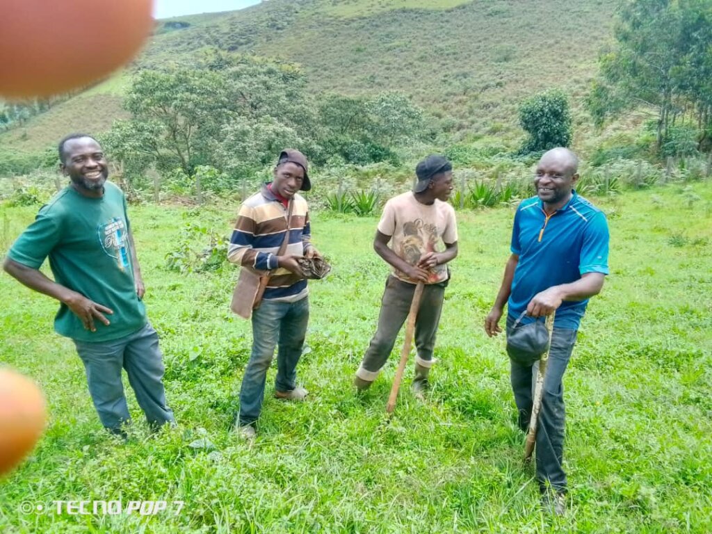 Plant 10,000 Trees to Combat Climate Change
