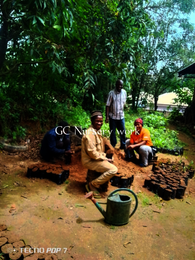 Plant 10,000 Trees to Combat Climate Change