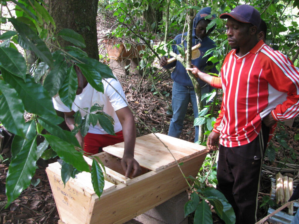 Plant 10,000 Trees to Combat Climate Change GlobalGiving