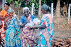 Distribution of monthly  food groceries