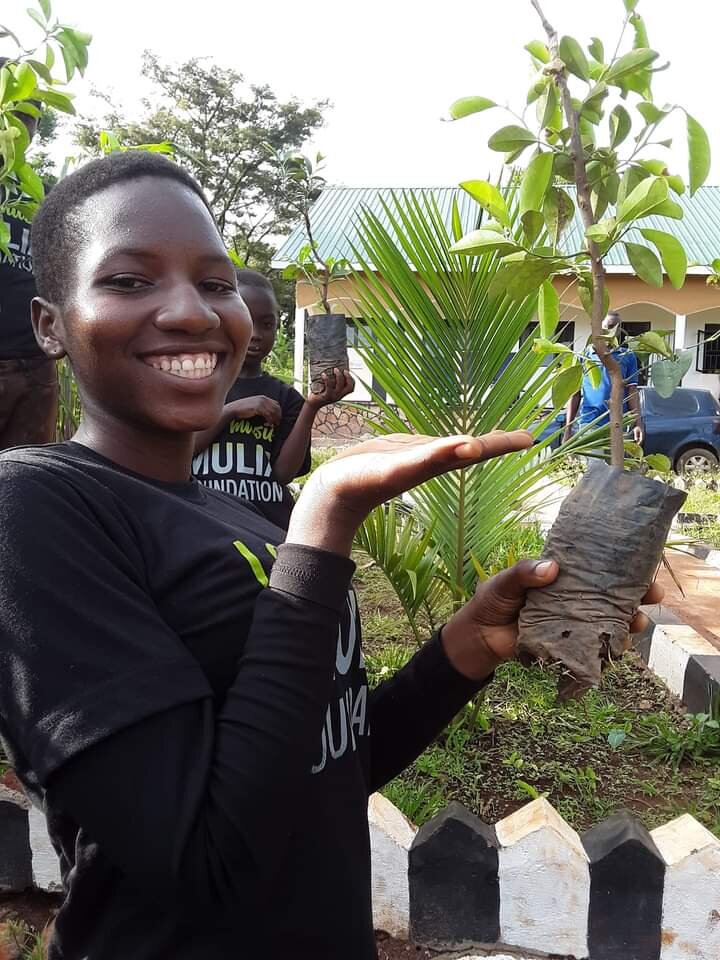 Organic Seed Bed for 5000 Trees at MULIA Uganda