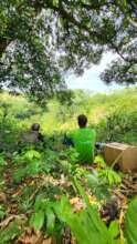 Field crew in Los Limones