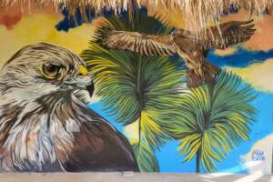 Ridgway's mural at Grupo Puntacana Foundation