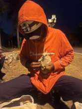Hawk banding