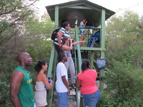 Cornell Students volunteering. By Thomas Hayes