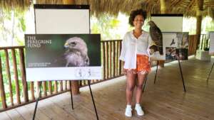 Ambassador help promote hawk conservation