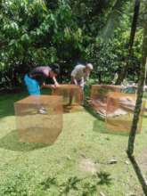 These net houses protect the farm chicks!