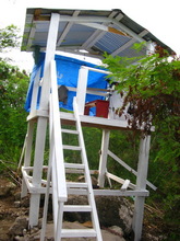 New hawk observation deck