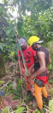 Practice tree climbing for the upcoming season