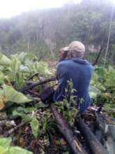 Project Staff members in action 2