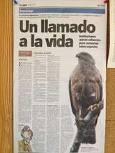 Publicity by Dominican Newspaper HOY