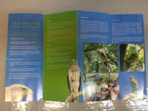 Inside of the new educational brochure