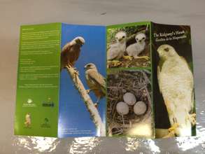 Outside of the new educational brochure