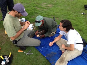 attaching a new transmitter