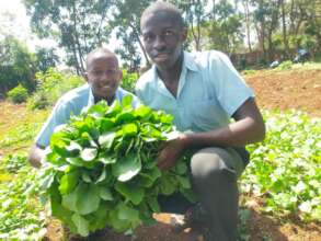 Students show off their African kale (kanzira)