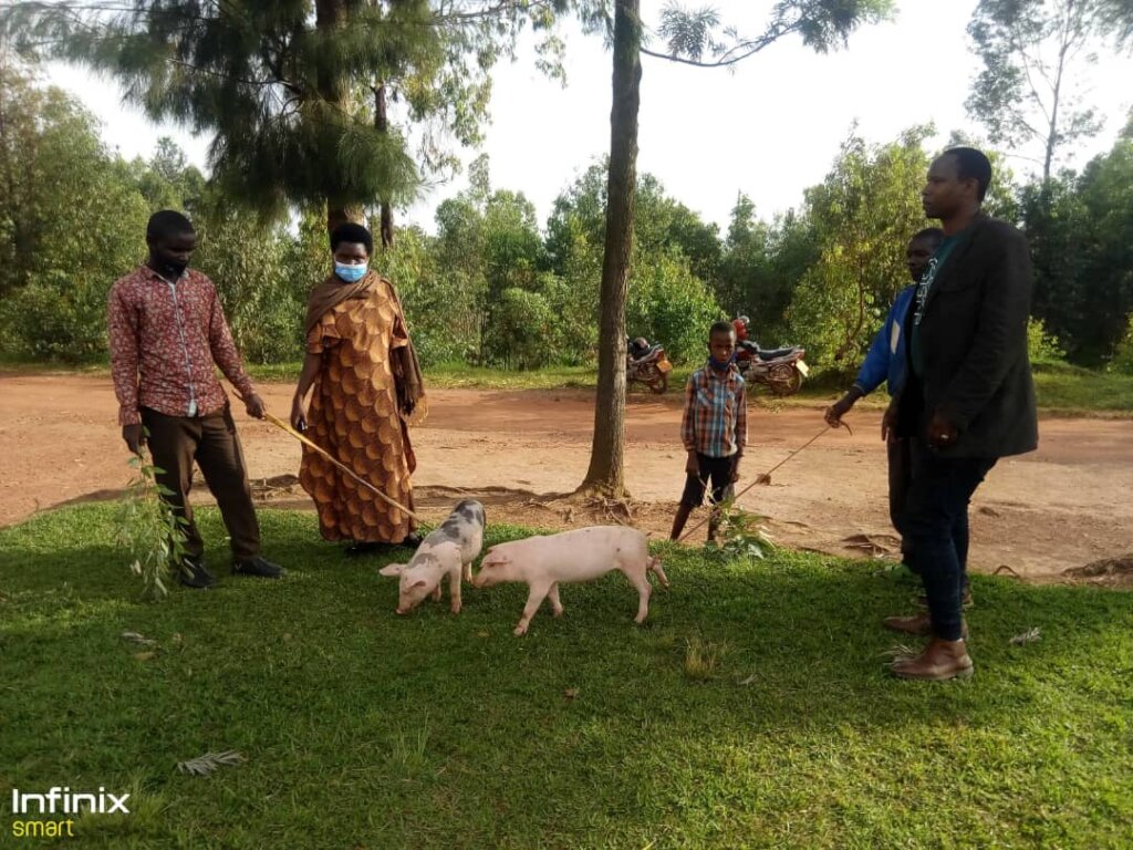 Livestock for 200 Poor Families in Rulindo, Rwanda