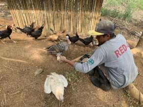 providing farm support
