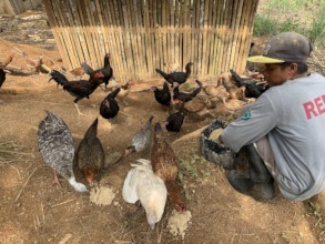small livelihoods