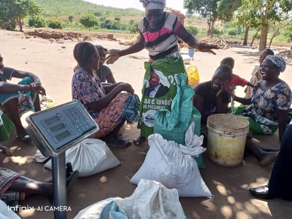 Empower Smallholder Farmers Out of Poverty