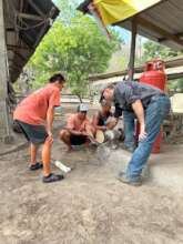Farrier training