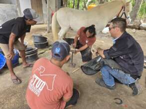 Vet clinic with international vets