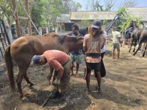 Farrier workshops continue