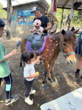 Kids and ponies enjoy a painting session