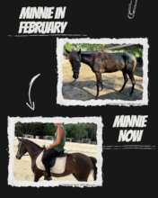Minnie's transformation after rehabilitation
