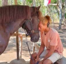 Making time to give love to all our ponies at Stud