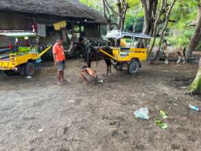 A check up for a Cidomo driver and his pony