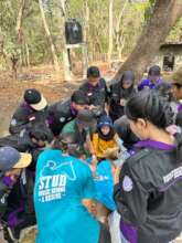 Students watch over a gelding operation in situ