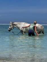 Vegas enjoying some vitamin sea